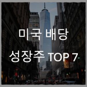 미국 배당 성장주 TOP 7